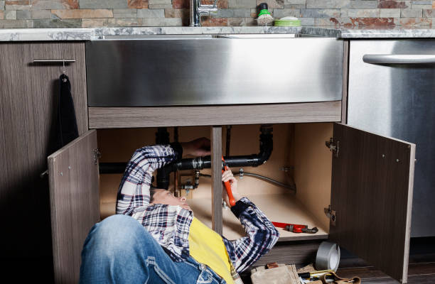 Best Local Plumber Services  in Lake Winnebago, MO